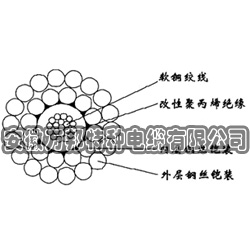 WGSB-3.50mm單芯改性聚丙烯絕緣雙鋼絲鎧裝承荷探測(cè)電纜